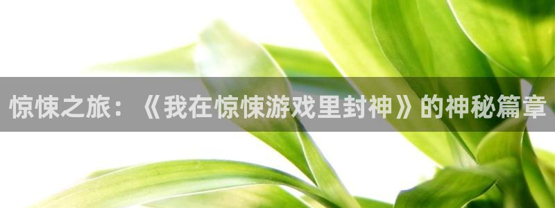 米乐m6欧洲杯：惊悚之旅：《我在惊悚游戏里封神》的神秘篇章