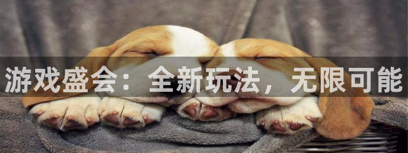 米乐m6官网登录