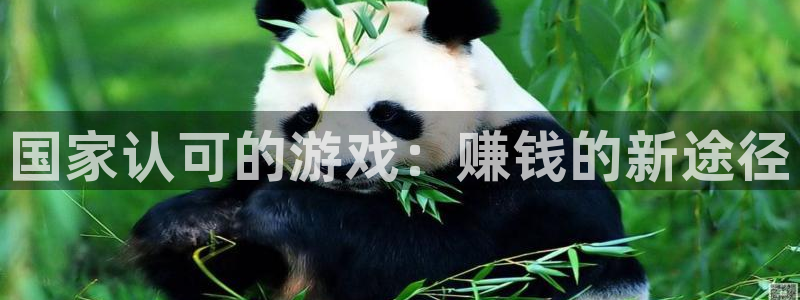 米乐m6米乐最新版本更新内容分享