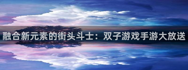 m6米乐游戏官方网站登录入口：融合新元素的街头斗士：双子游戏